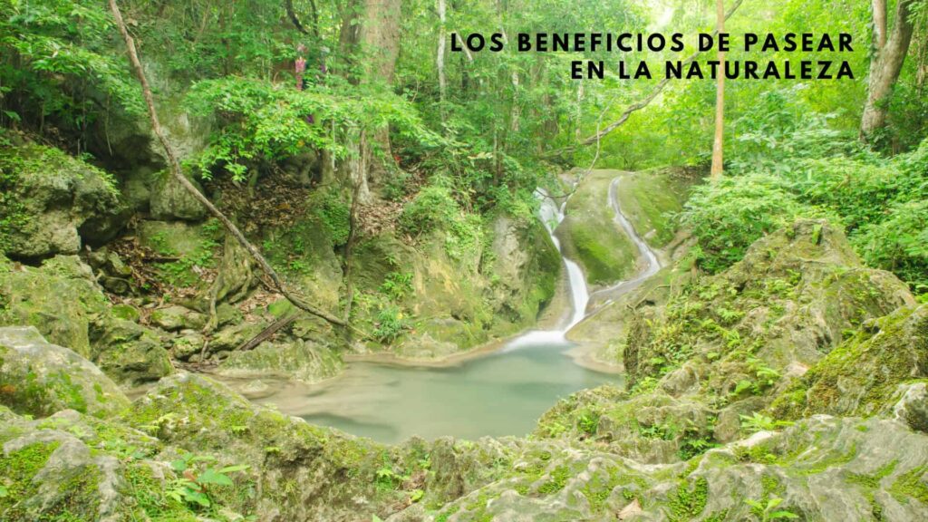 Beneficios de pasear en la naturaleza1