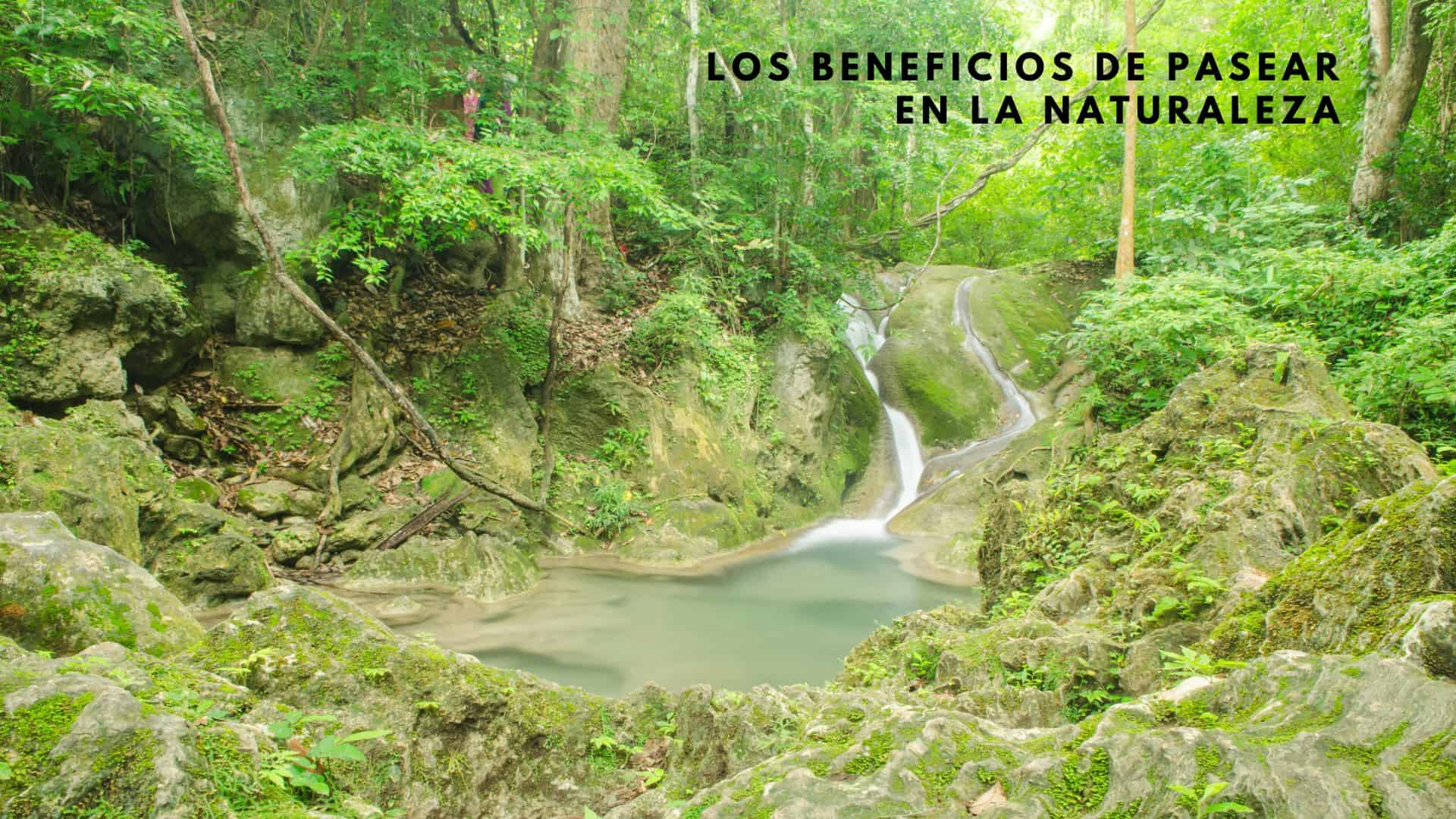 Beneficios de pasear en la naturaleza1